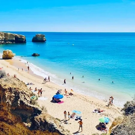 Apartamento Sunny Condo- Pool & Free Parking Walk To